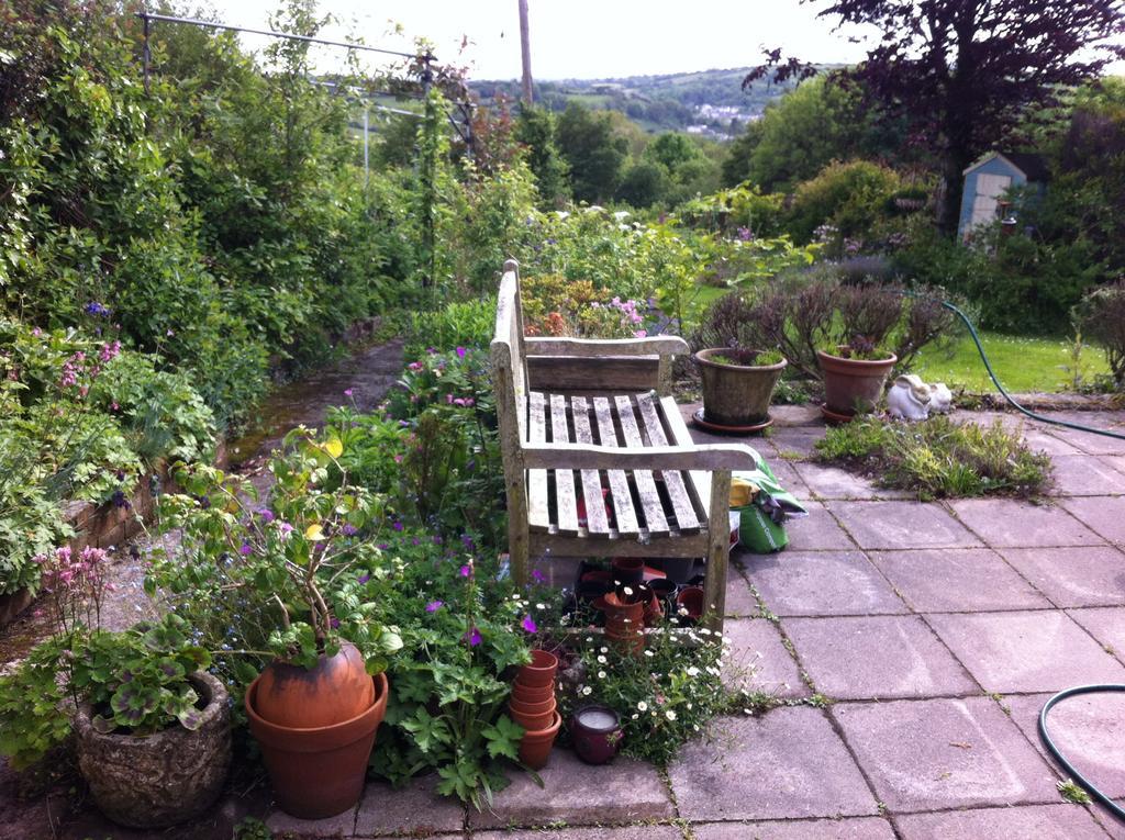 Vine Cottage Penpillick Bagian luar foto