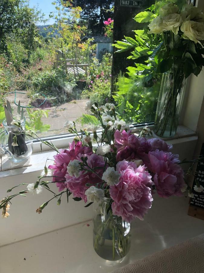 Vine Cottage Penpillick Bagian luar foto