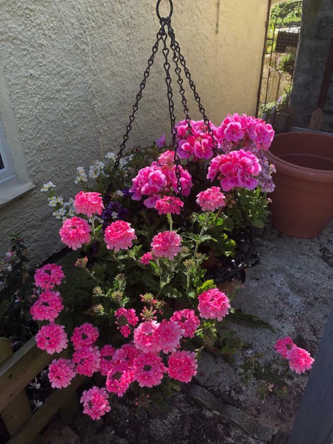 Vine Cottage Penpillick Bagian luar foto