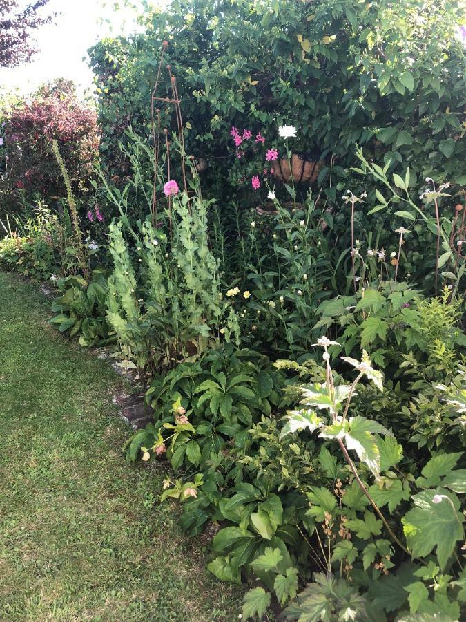 Vine Cottage Penpillick Bagian luar foto